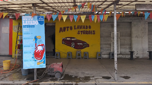 Auto Lavado Sturgis